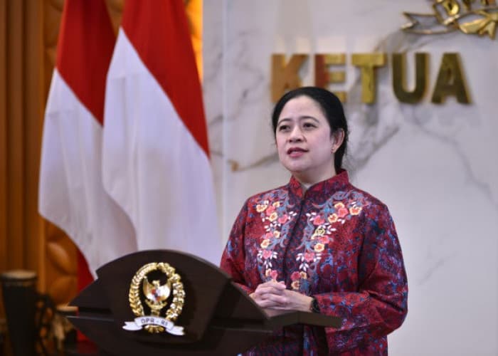 Soroti Jeritan Ibu Menyusui hingga Pekerja Remote, Puan Minta PLN Mitigasi Dampak Sosial Pemadaman